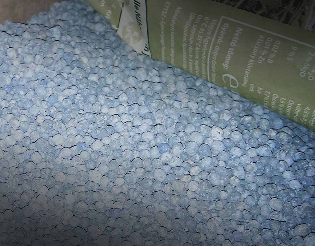Blaukorn gehört nicht in den Naturgarten