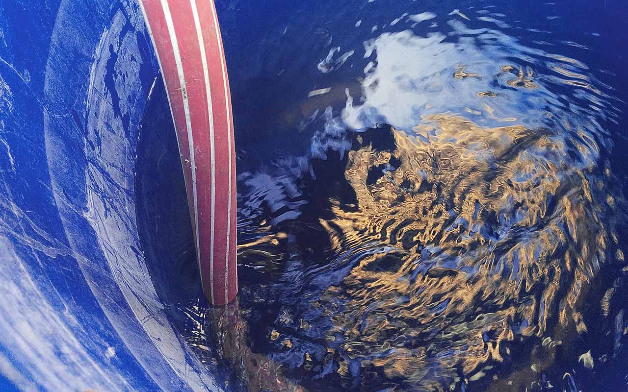 13 Tipps zum Wasser-Sparen im Garten
