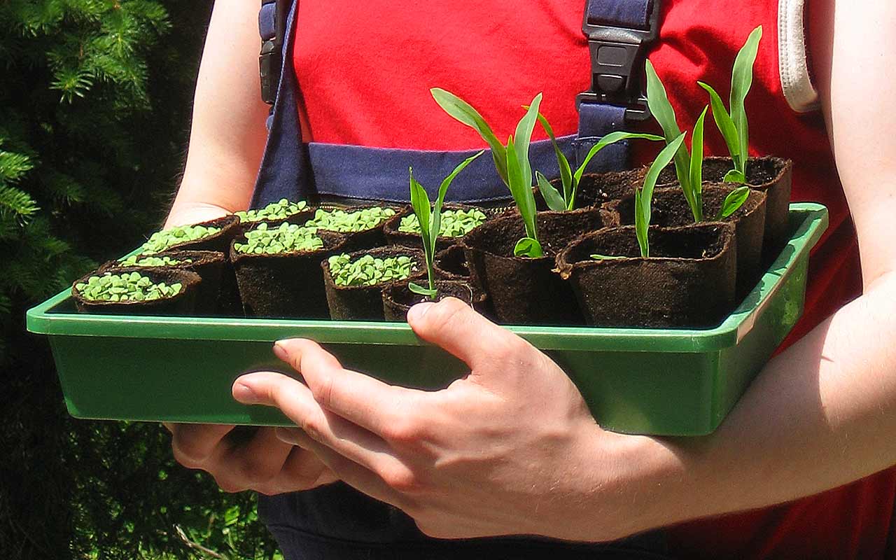 Klimaschonend im Garten – 10 Tipps für nachhaltiges Gärtnern
