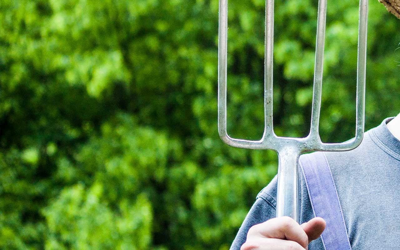 Gartenwerkzeuge zum Auflockern und Umgraben