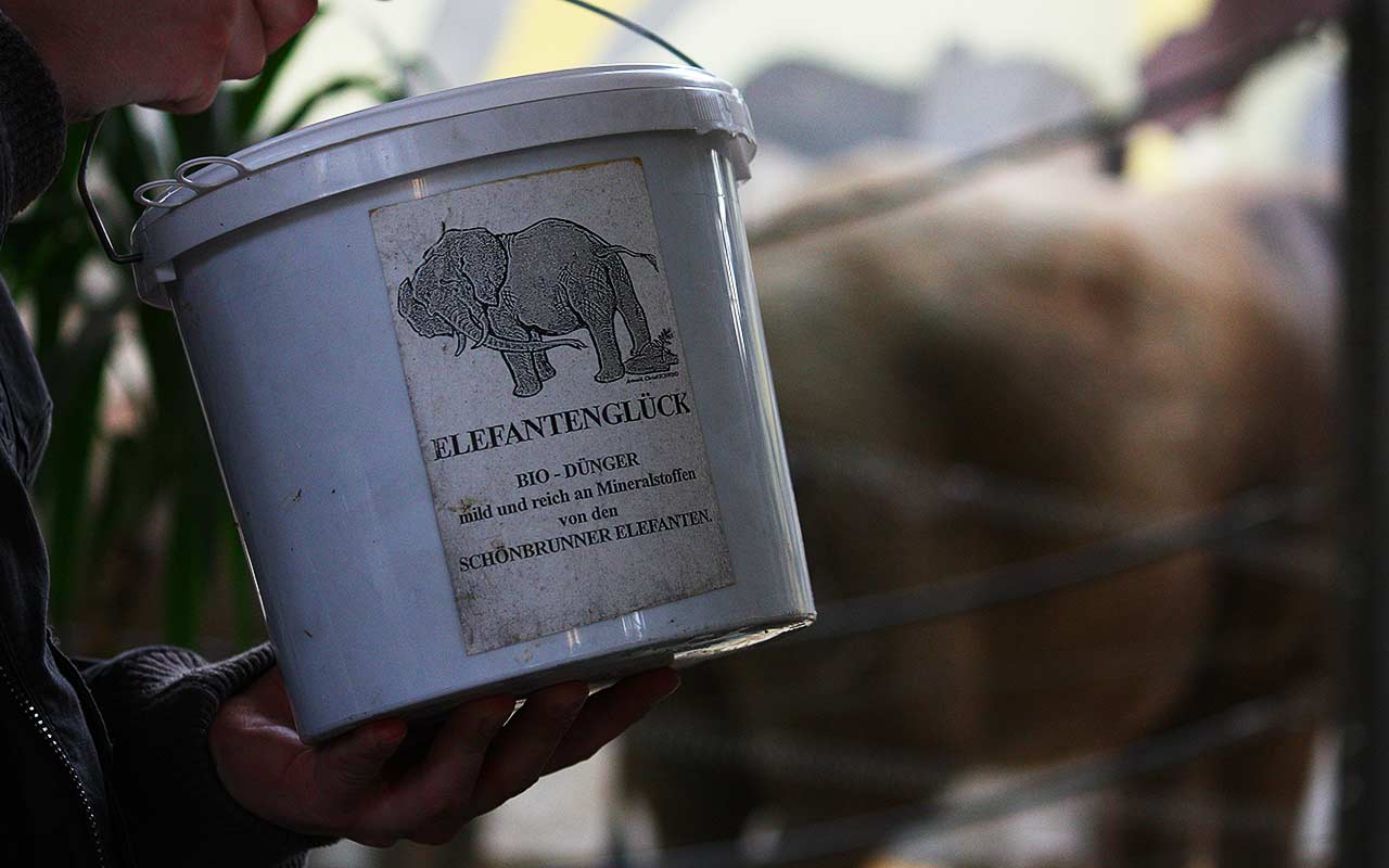 Elefantenglück – Düngen mit Elefantendung