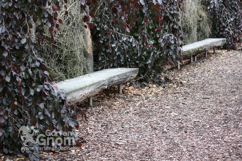 Der Nebelwald auf der Garten Tulln.
