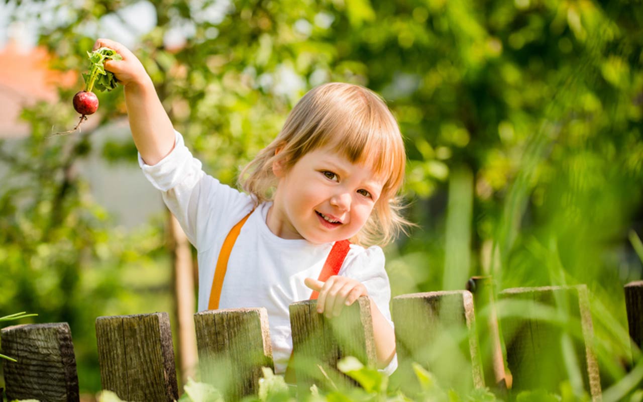 Gnome im Garten – Einen sicheren Garten für Kinder schaffen