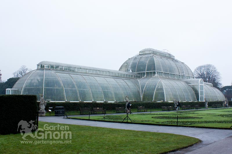 Das große Palmenhaus in Kew Gardens (London) erhebt sich zu jeder Jahreszeit majestätisch über die Blumenrabatte.
