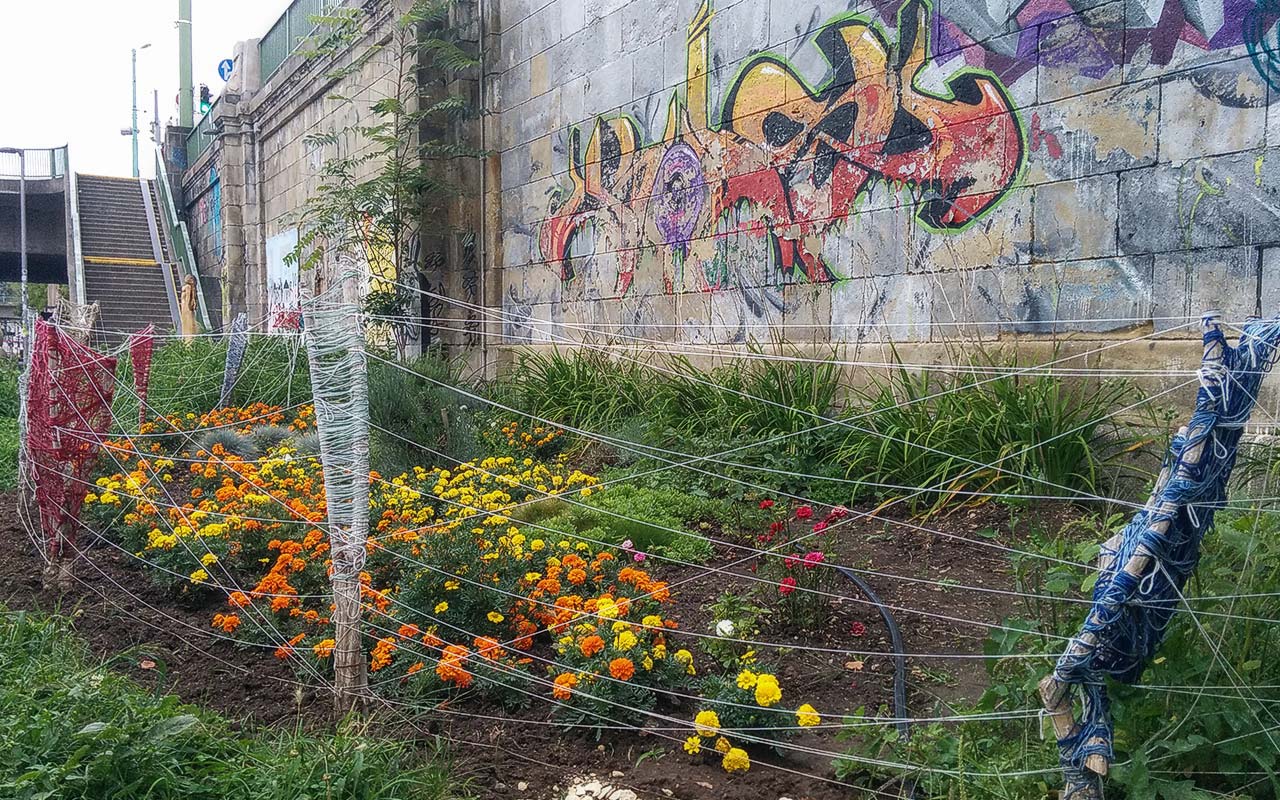 Guerilla Gardening – Stiller Protest und grüne Verschönerung