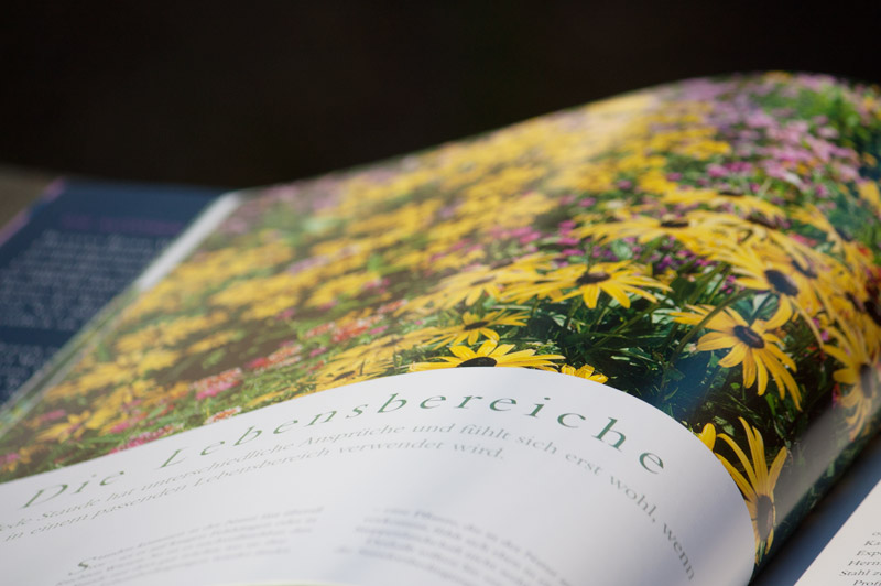 Bilderseite: Stauden im Garten - Callwey Verlag