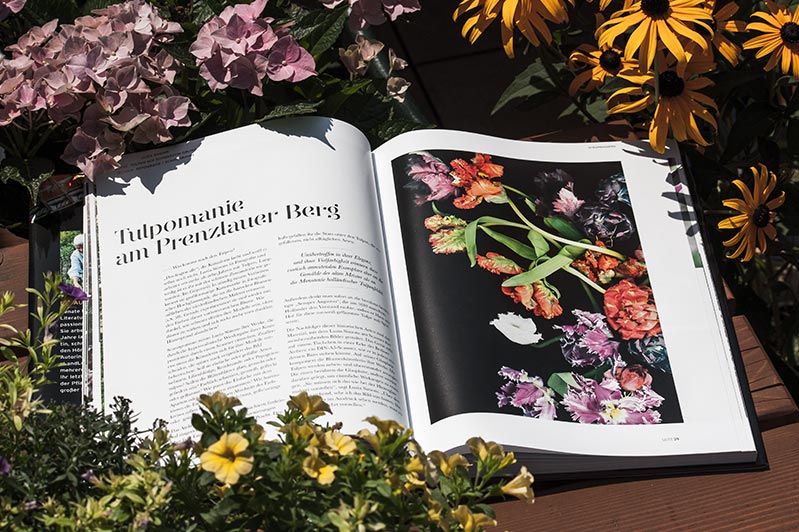Tulpen-Scanogramme im Buch "Blumenmalerinnen"
