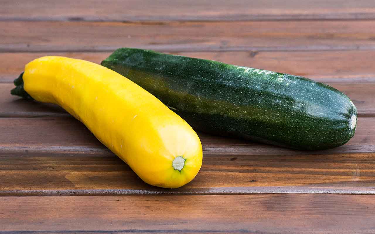 Zucchini FAQ: Probleme und Tipps beim Zucchini Anbau